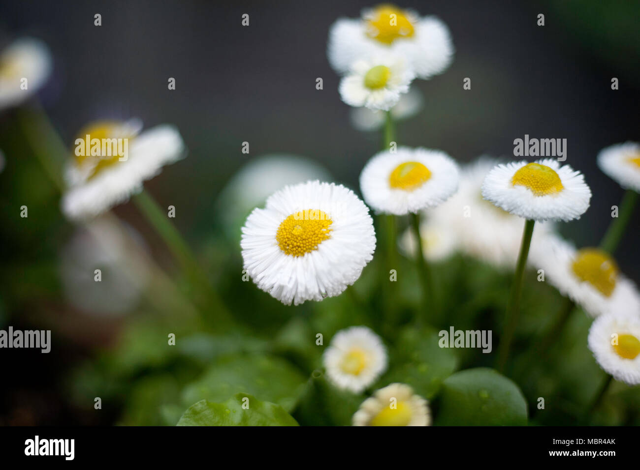 Creatività Foto Stock