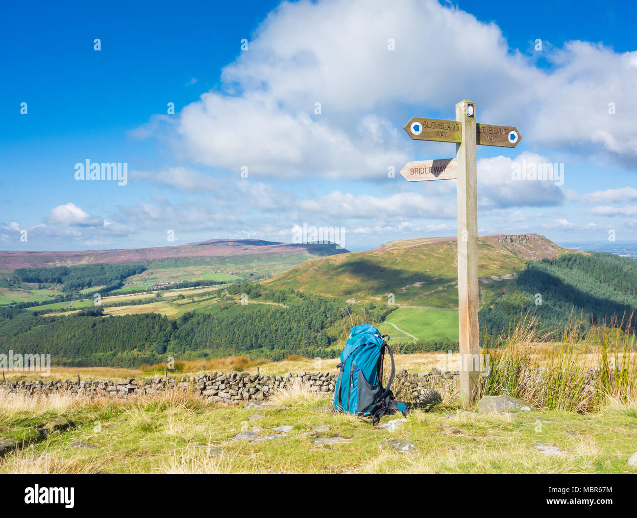 Vista verso la banca affrettate e Bilsdale dalla banca di creta sul modo di Cleveland National Trail. North York Moors National Park, North Yorkshire, Inghilterra. Regno Unito Foto Stock