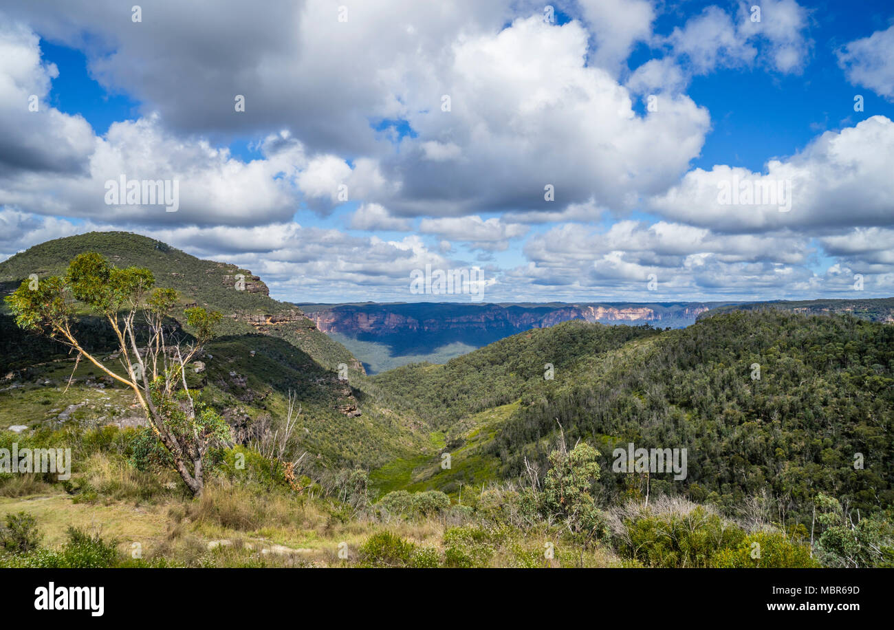Vista del cappuccio di basalto di 1049 m banchi di montaggio in Explorer gamma delle Blue Mountains contro lo sfondo della scarpata di Valle Grose, blu Foto Stock
