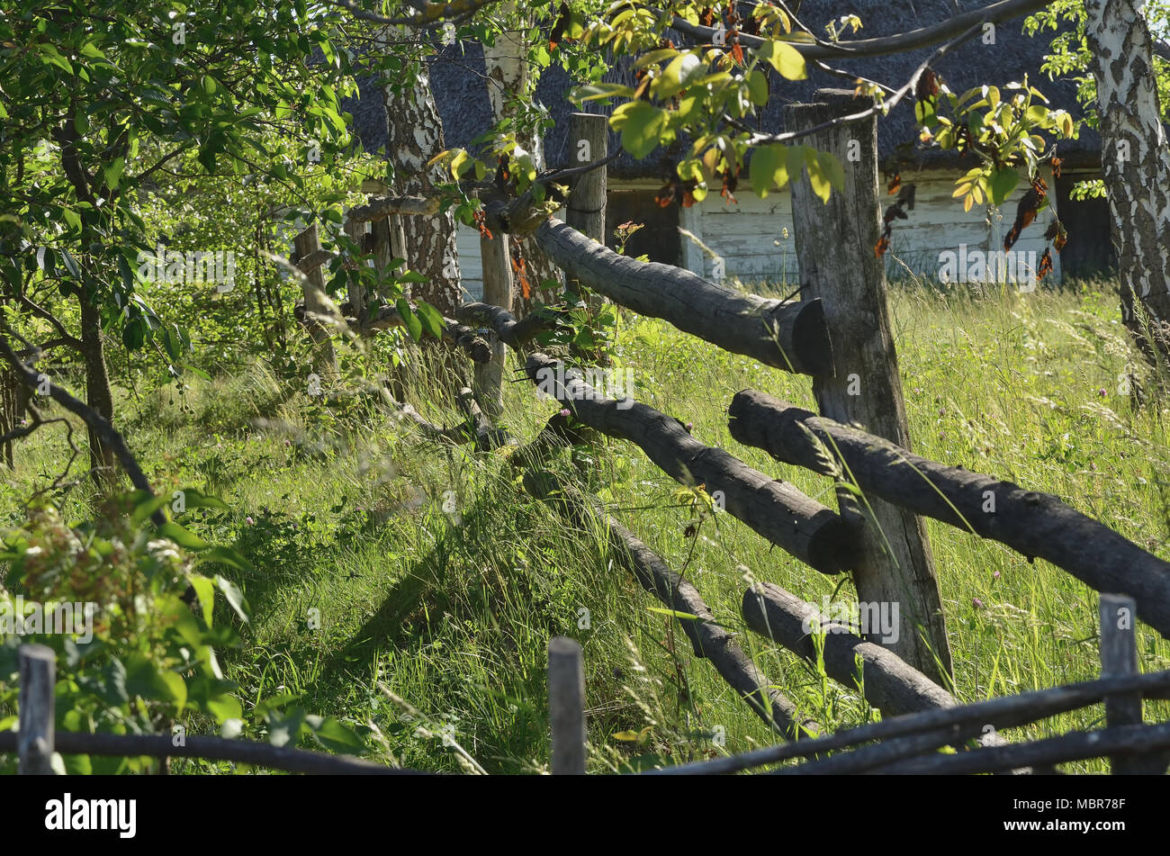 Bassa recinzione di sottili fasci di legno tra il verde erba e arbusti Foto Stock