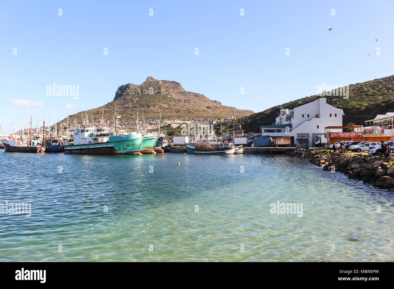 Hout Bay Harbor, Western Cape - Sudafrica Foto Stock