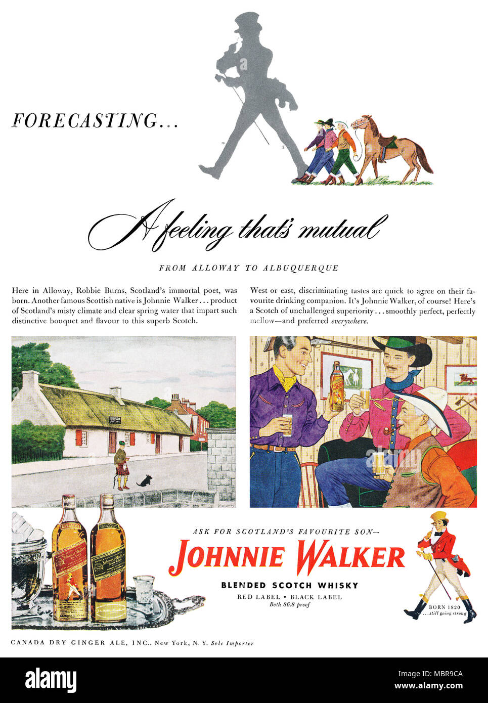 1949 U.S. pubblicità per Johnnie Walker scotch whisky blended. Foto Stock