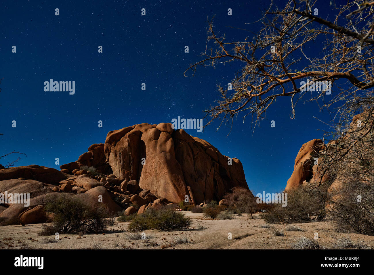 Night Shot sotto il chiaro di luna con stelle di Spitzkoppe Foto Stock