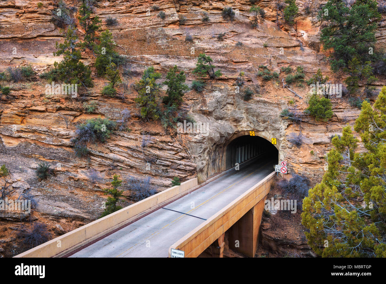 Monte Carmelo Tunnel nel Parco Nazionale di Zion, Utah Foto Stock