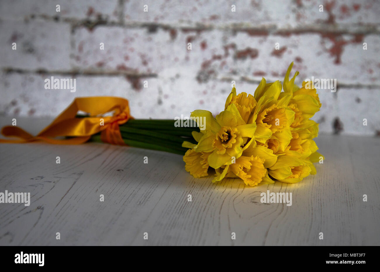 Un mazzetto di narcisi legate con un nastro arancione posto su un bianco pavimento in laminato. Foto Stock