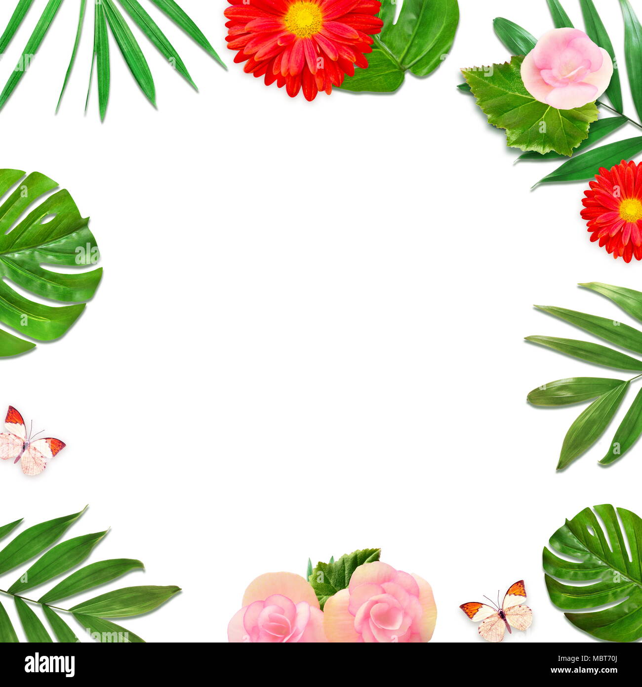 Layout creativi di fogliame su uno sfondo bianco con spazio per il testo. Telaio di foglie e fiori. Sfondo floreale. Vista da sopra. Foto Stock