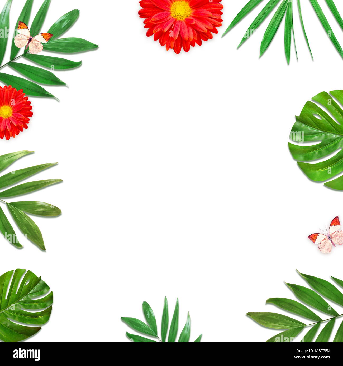 Layout creativi di fogliame su uno sfondo bianco con spazio per il testo. Telaio di foglie e fiori. Sfondo floreale. Vista da sopra. Foto Stock