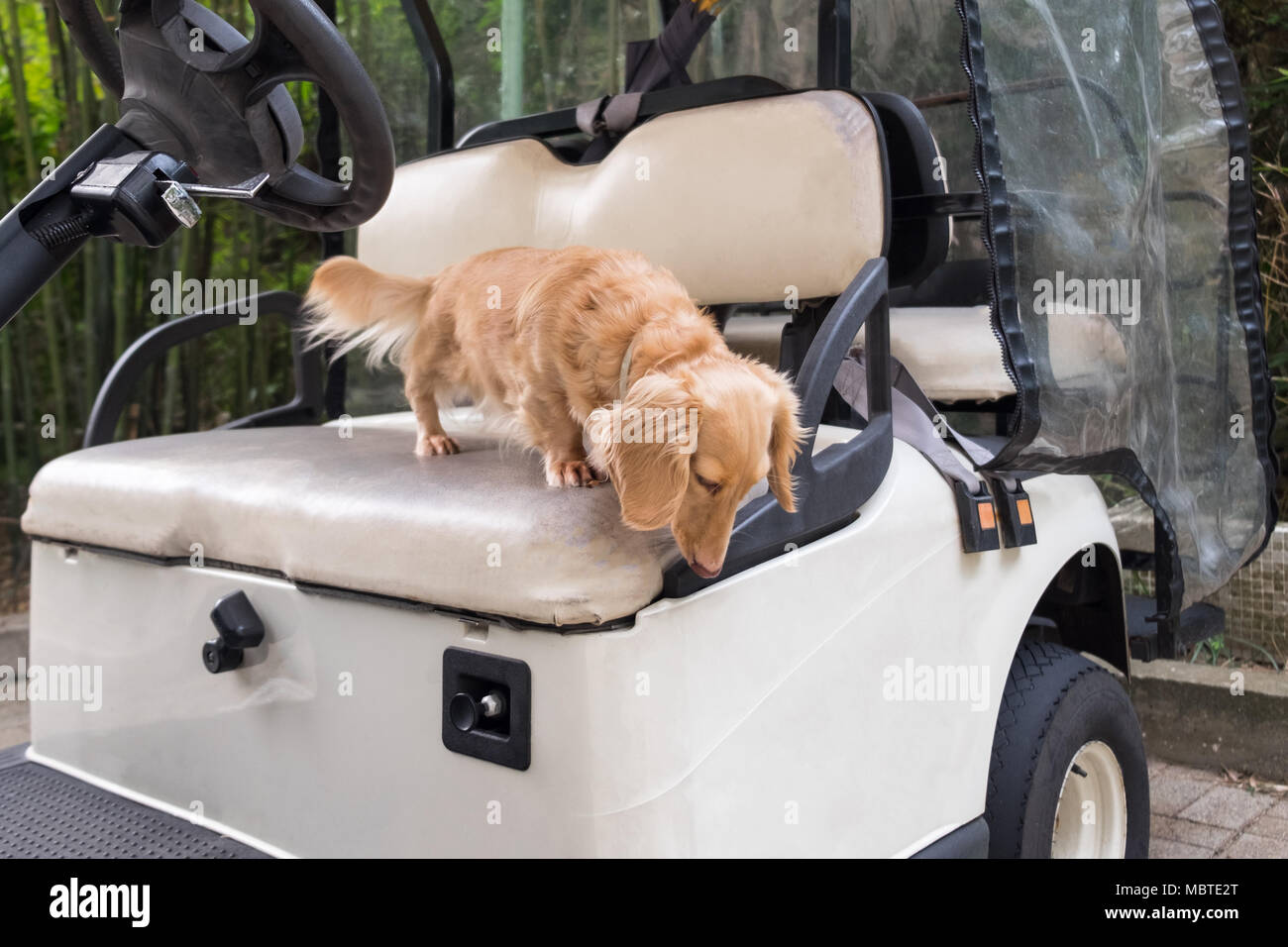 M Rt בטוויטר Buona Passeggiata