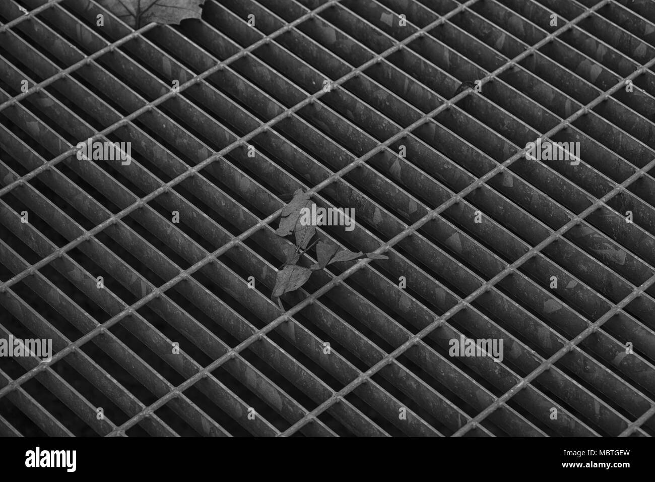 Monocromatico Piazza portello metallico nella pavimentazione urbana, di fognatura chiusino con linee di marcatura e di foglia all'interno. Foto Stock