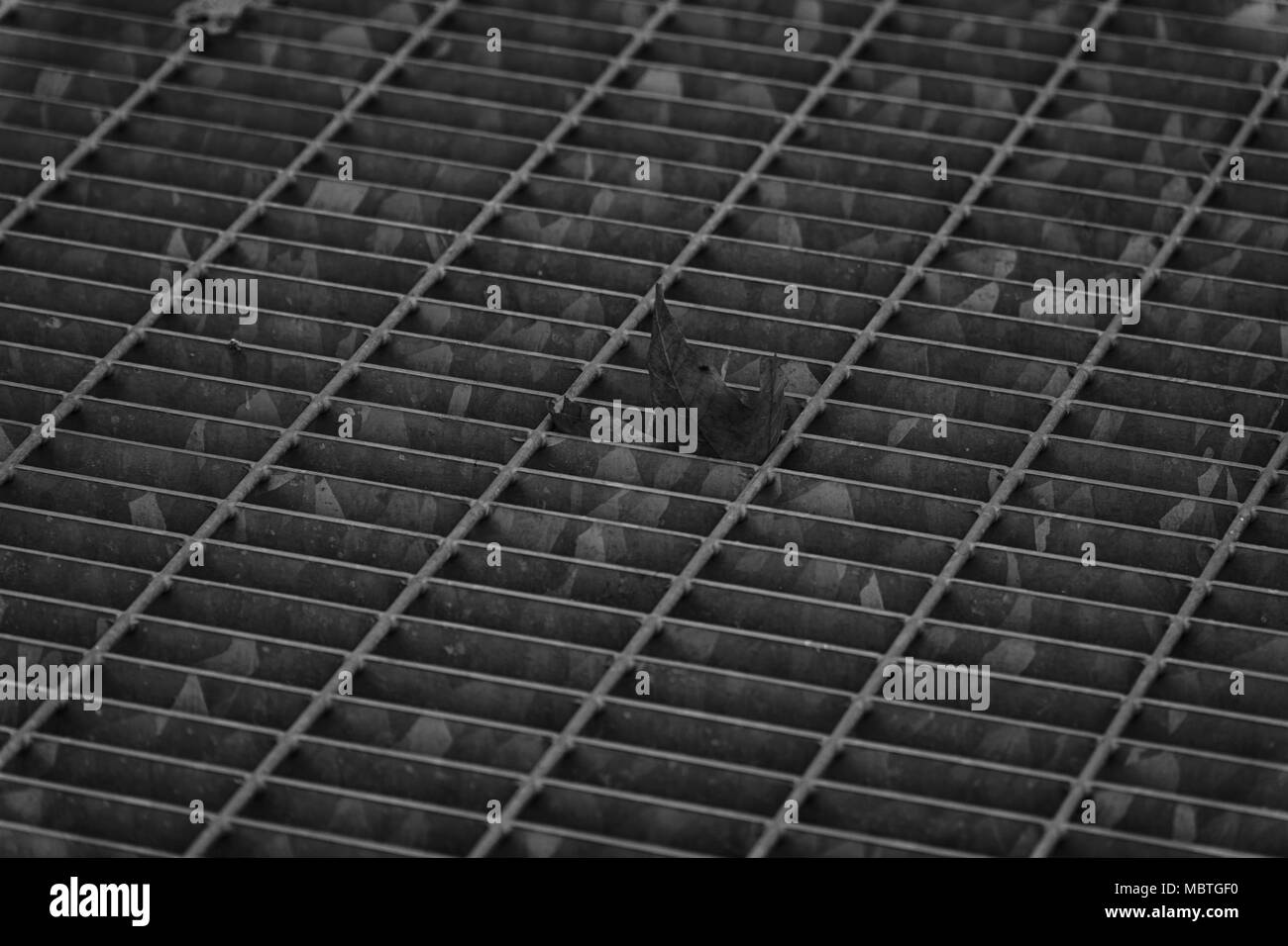 Monocromatico Piazza portello metallico nella pavimentazione urbana, di fognatura chiusino con linee di marcatura e di foglia all'interno. Foto Stock