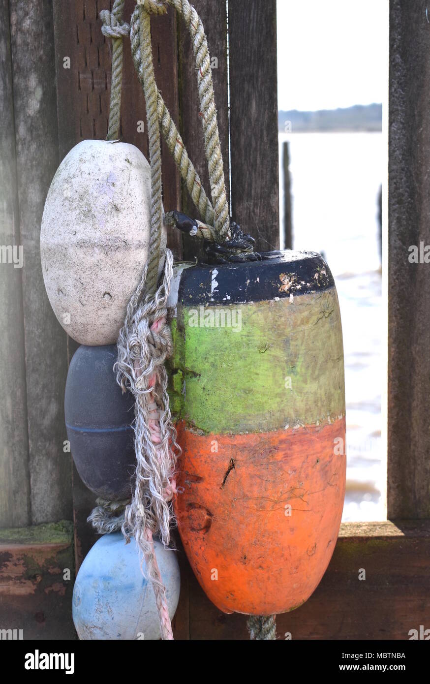 Boe appendere in Oysterville, nello stato di Washington, USA Foto Stock