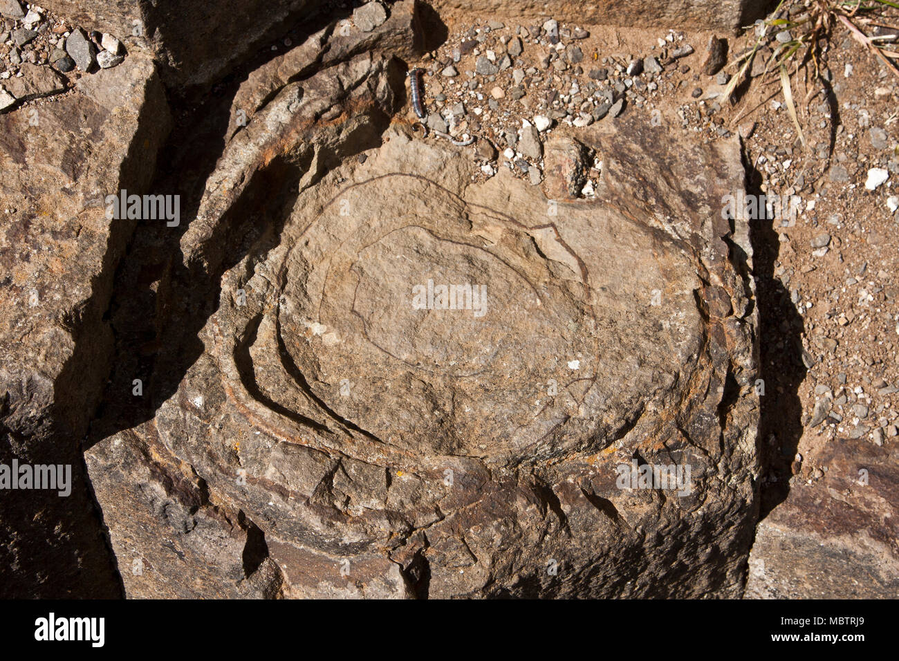 Il Portogallo, Madeira e Porto Santo Island, Pico Ana Ferreira, vulcanico, basalto, volcanoclastic, struttura colonnare, prismi, Foto Stock