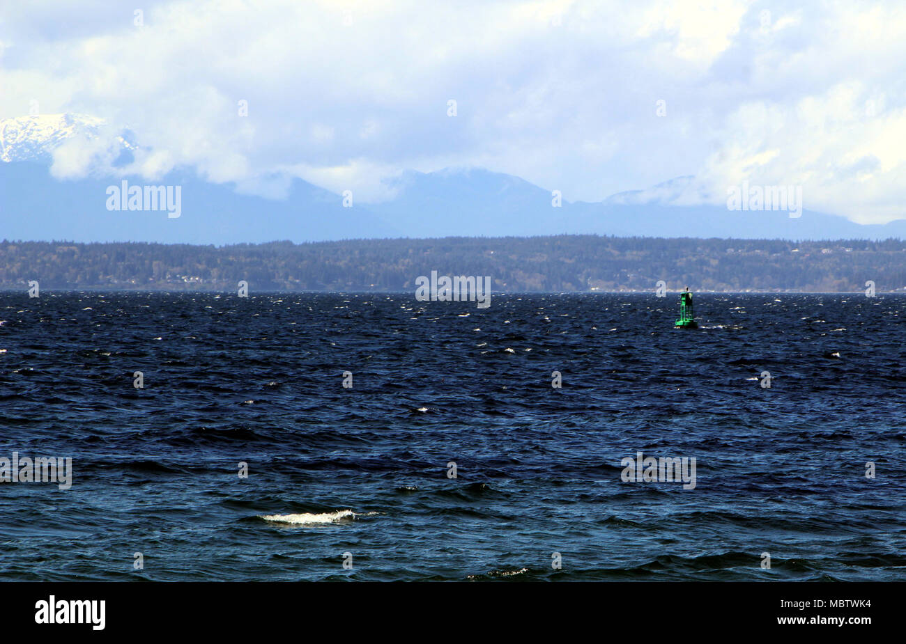 Green boa di Puget Sound, Seattle. Immagine presa dalla spiaggia di Golden Gardens Park Foto Stock