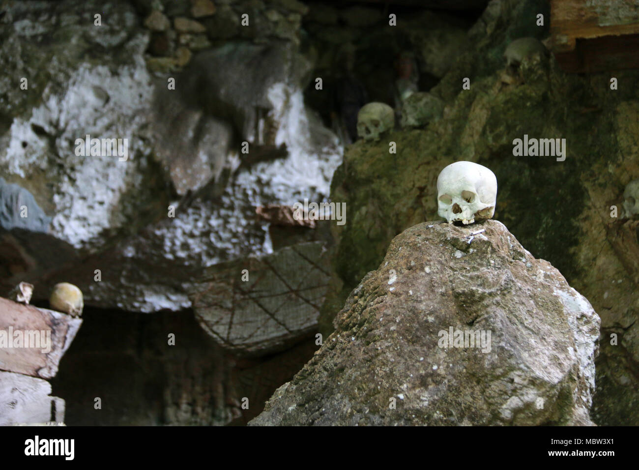 Il marcio bare, custodi dei morti (Tau-Tau's) e teschi umani in Tampang Allo grotta sepolcrale, Sulawesi, Indonesia Foto Stock