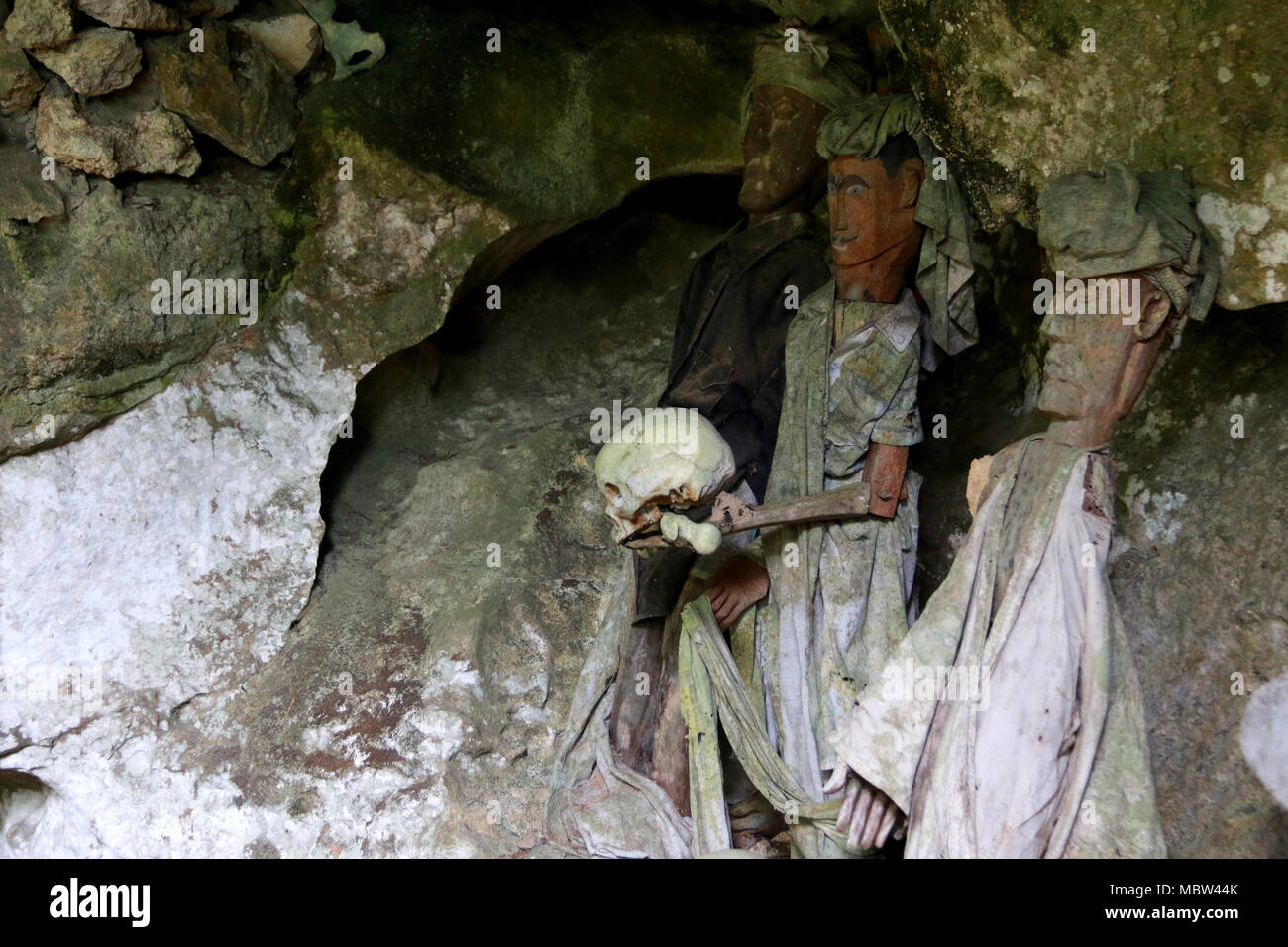 Custodi dei morti (Tau-Tau's) tenendo un teschio umano nel Tampang Allo grotta sepolcrale, Sulawesi, Indonesia Foto Stock