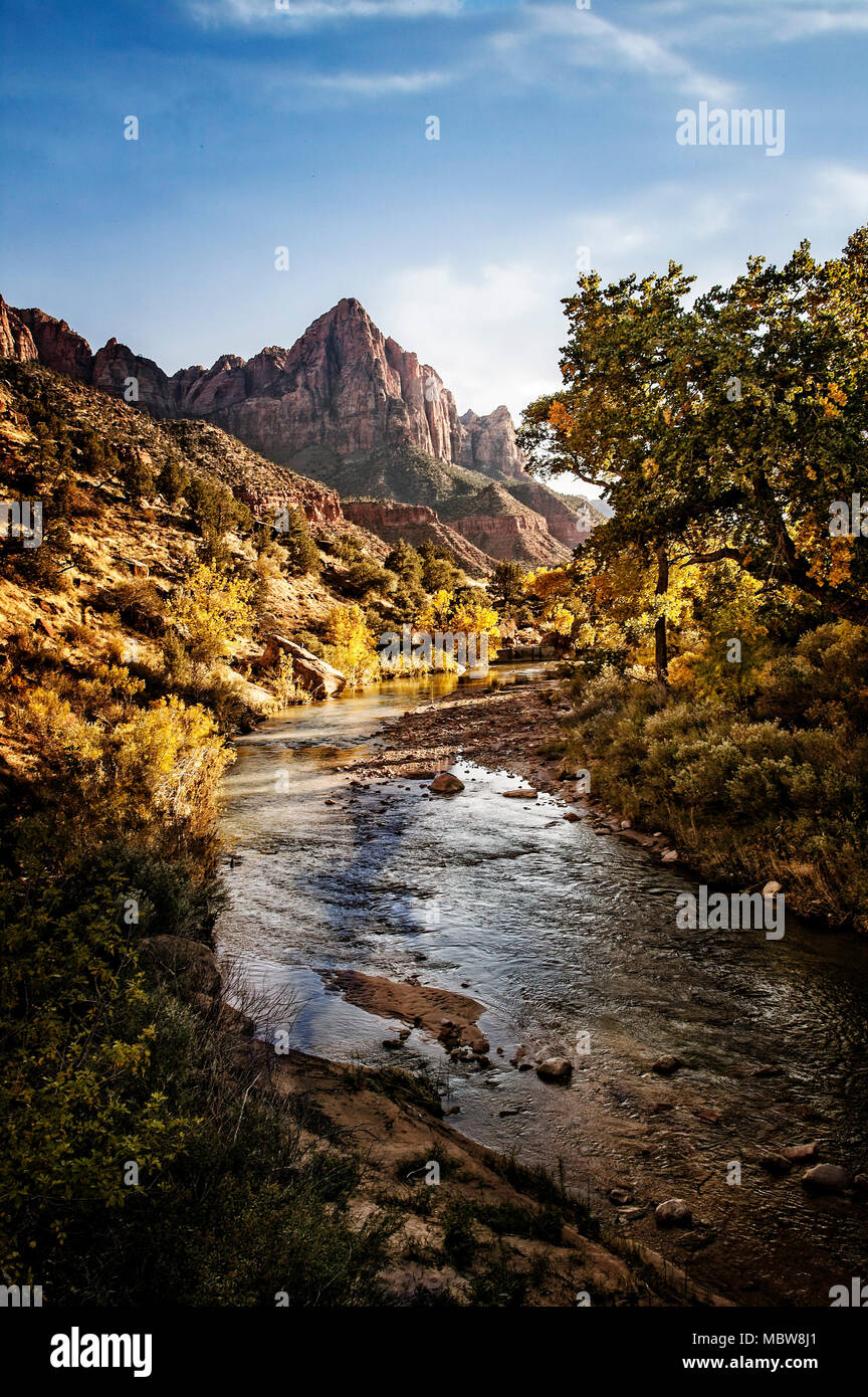 Autunno a colori lungo la forcella del nord del fiume vergine guardando verso la sentinella nel Parco Nazionale di Zion, Utah Foto Stock