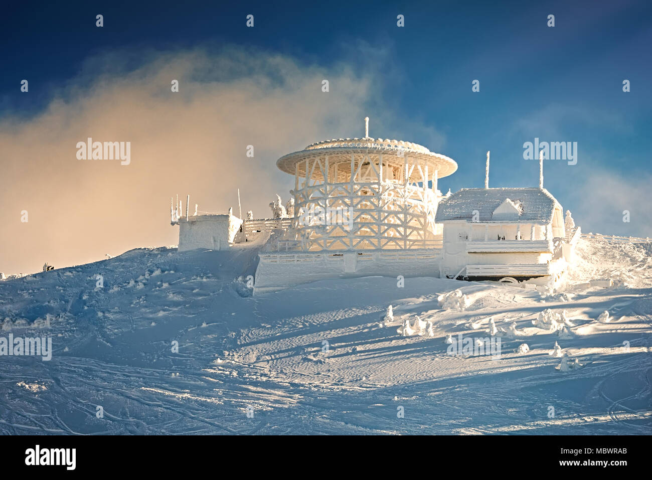 Inverno alberi nelle montagne coperte di neve fresca. Poiana Brasov ski resort,Transilvania,Romania,l'Europa,foresta di pini coperti di neve sulla stagione invernale Foto Stock