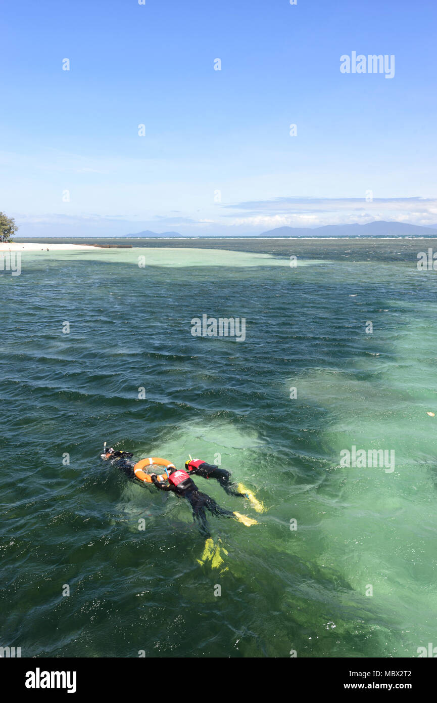 I turisti lo snorkeling in acque turchesi di Isola Verde, Great Barrier Reef Marine National Park, estremo Nord Queensland, QLD, FNQ, GBR, Australia Foto Stock