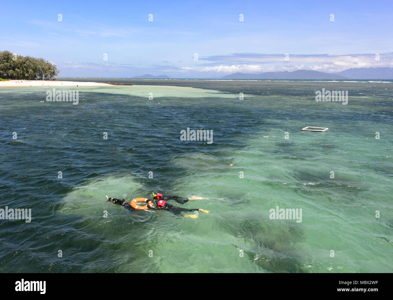 I turisti lo snorkeling in acque turchesi di Isola Verde, Great Barrier Reef Marine National Park, estremo Nord Queensland, QLD, FNQ, GBR, Australia Foto Stock