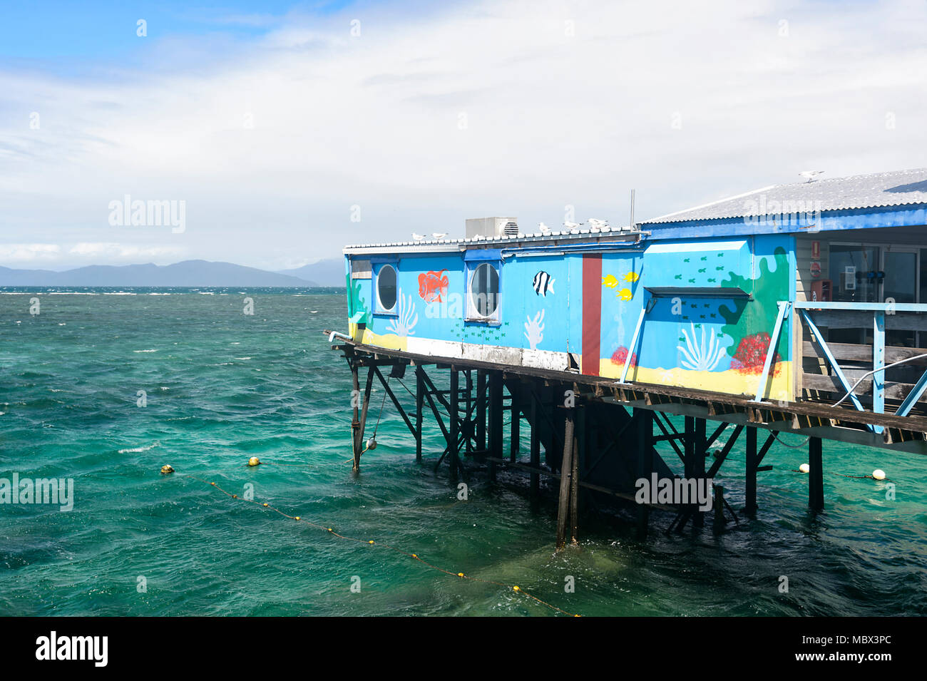 Decorate pontoon a Isola Verde, Great Barrier Reef Marine National Park, estremo Nord Queensland, QLD, FNQ, GBR, Australia Foto Stock