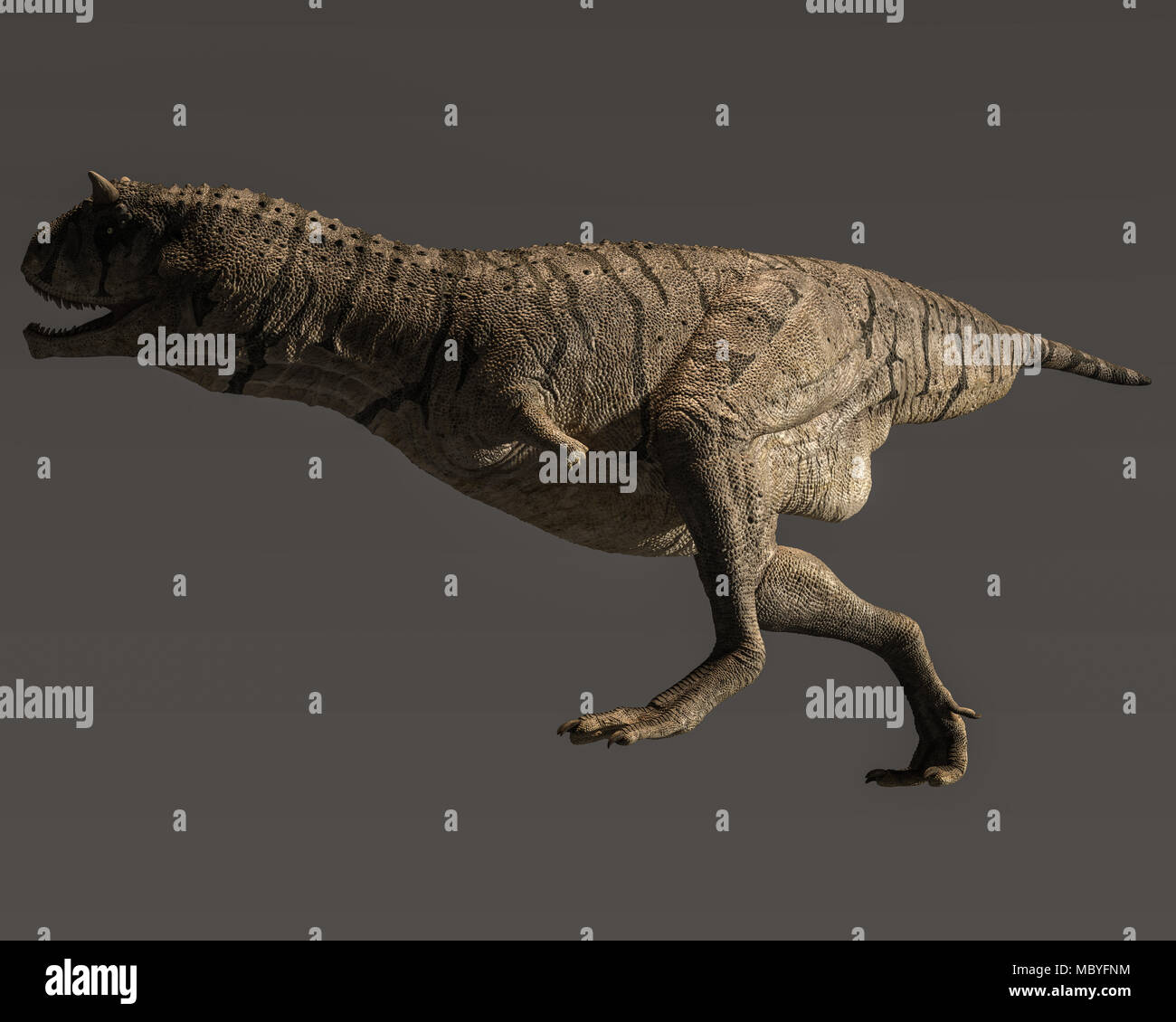 3D rendering di un grande predatore Cretaceo denominato Carnotaurus Sastrei Foto Stock