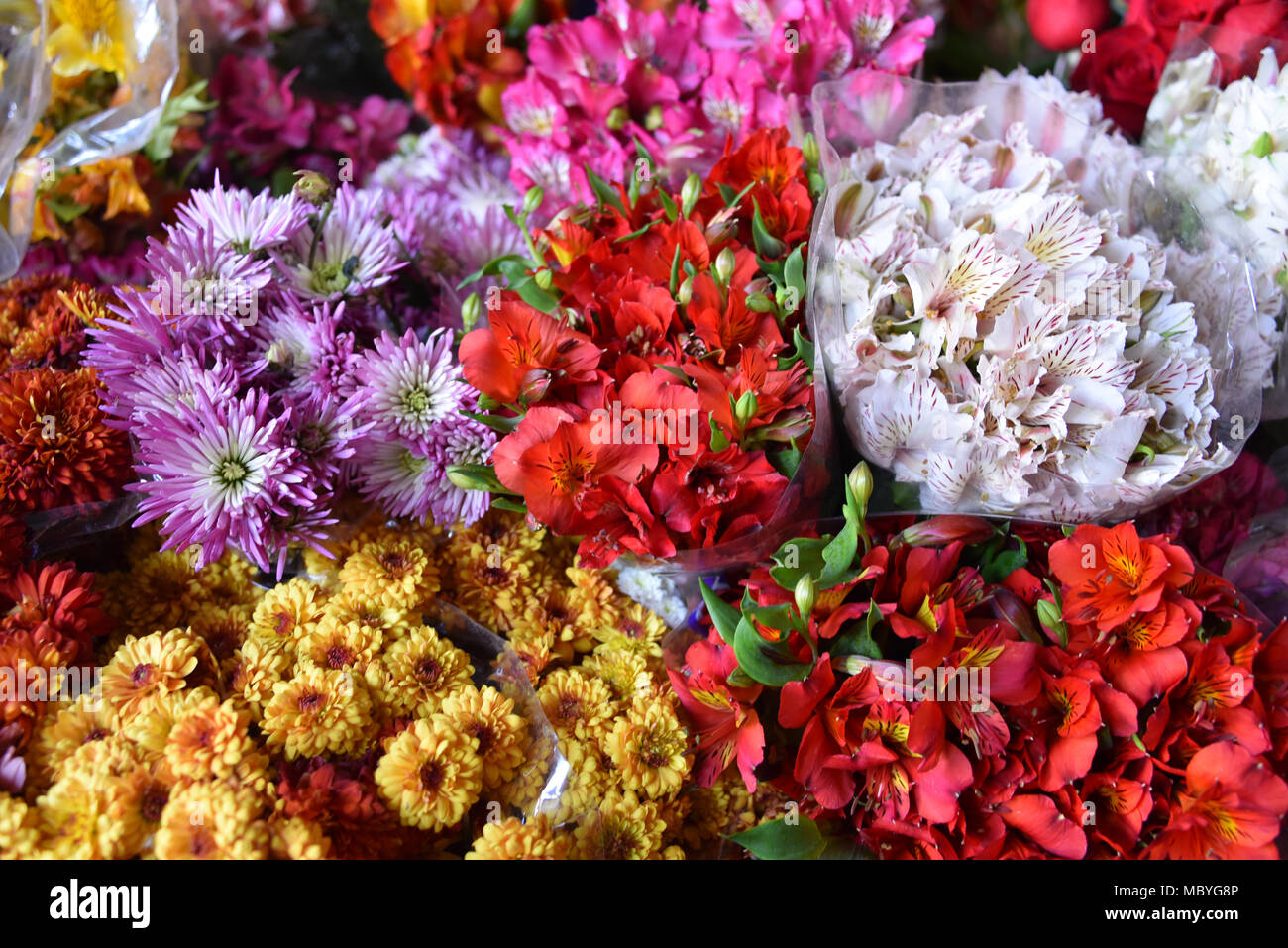 CUZCO, Perù - Marzo 29, 2018: fiori colorati in vendita su uno stallo in Mercado San Pedro market Foto Stock