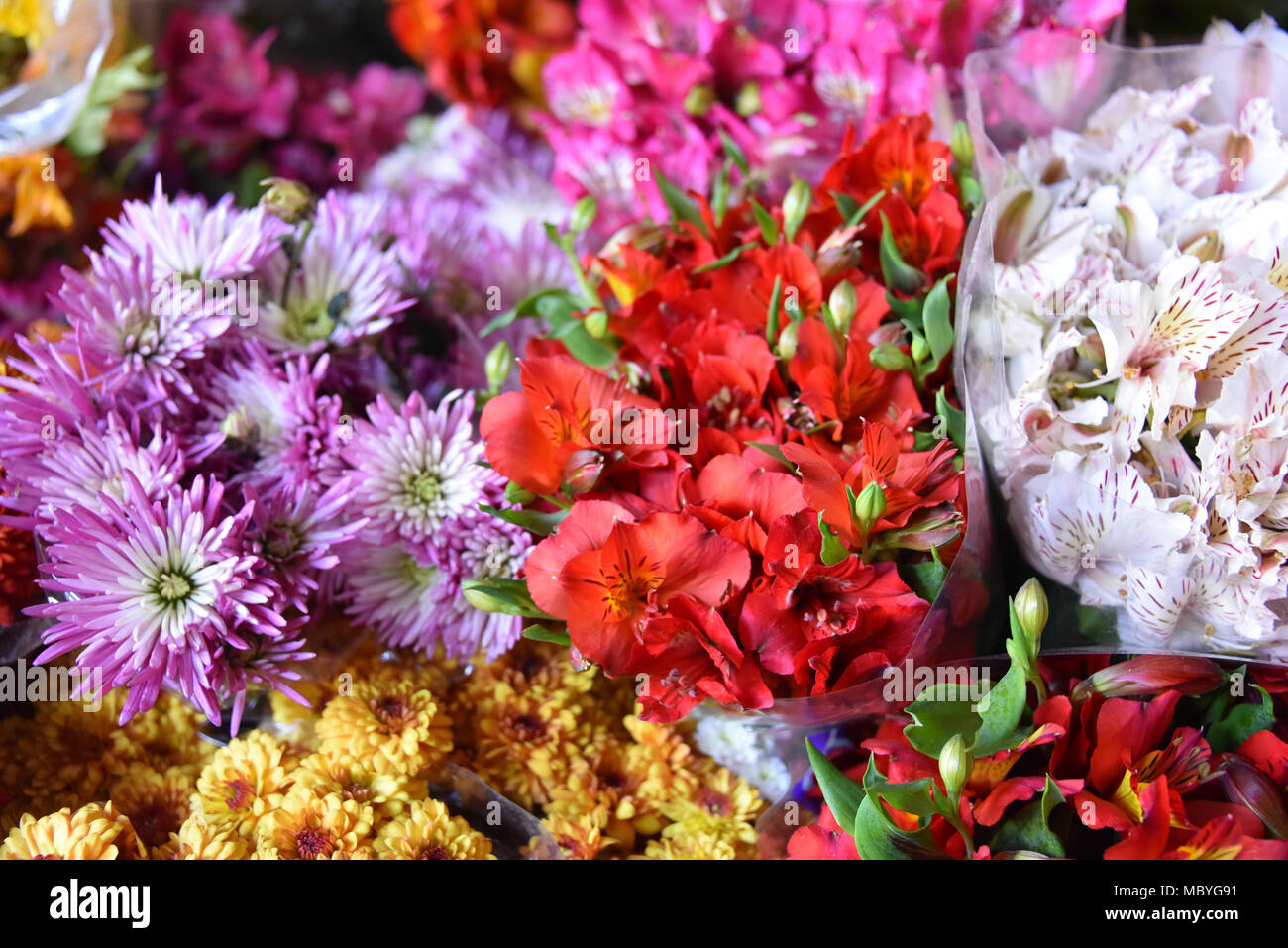 CUZCO, Perù - Marzo 29, 2018: fiori colorati in vendita su uno stallo in Mercado San Pedro market Foto Stock