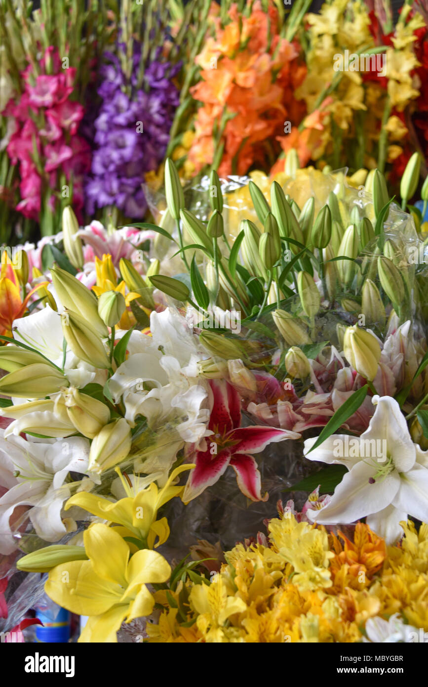 CUZCO, Perù - Marzo 29, 2018: fiori colorati in vendita su uno stallo in Mercado San Pedro market Foto Stock