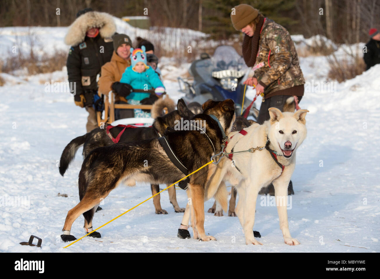 Uno Sled Dog team offre corse di Hillberg Ski Area visitatori a base comune Elmendorf-Richardson, Alaska, 14 gennaio 2018. Come parte della morale, il benessere e la ricreazione programma ospitato dal 673d forza squadrone di supporto e vita JBER Team, il Hillberg Ski Area offre quelli con accesso di base di una varietà di sport invernali e gli eventi. (U.S. Air Force foto di Alejandro Peña) Foto Stock