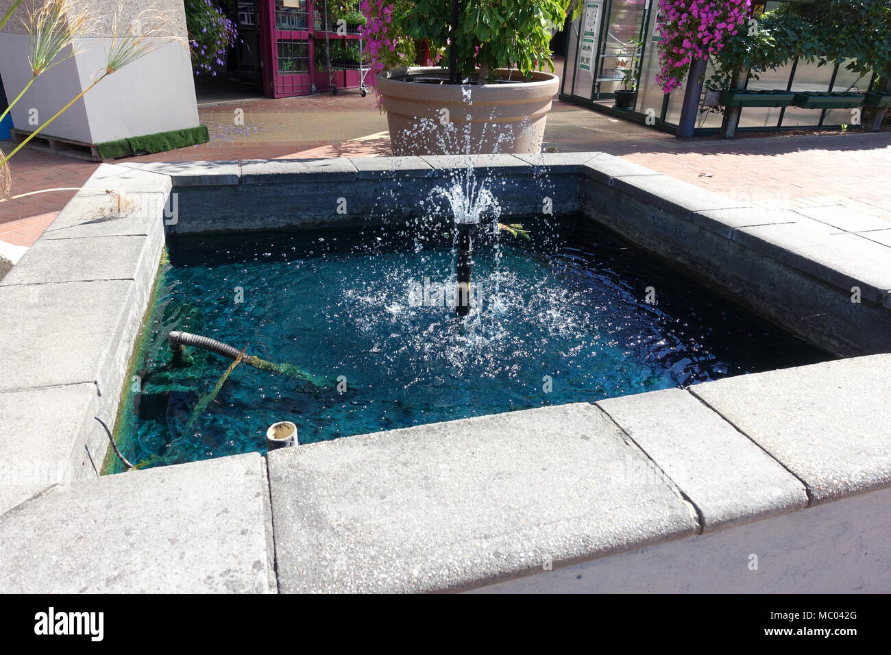 L'uomo ha fatto fontane ad acqua e piscina per giardino decorazione Foto Stock