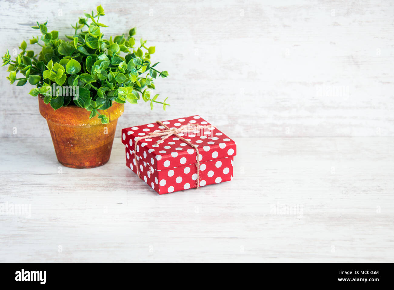Punteggiata rossa confezione regalo e un verde fiore in una rustica vaso di ceramica. Bianco sullo sfondo di legno, copia dello spazio. Foto Stock
