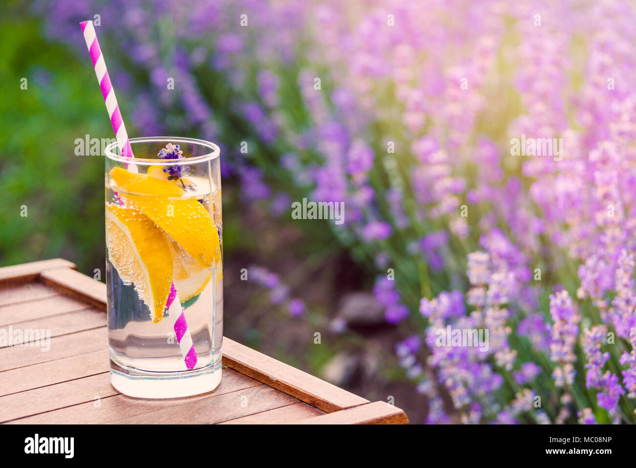 Un bicchiere di limonata fresca su una sedia in legno. Fioritura di fiori di lavanda in background. Foto Stock