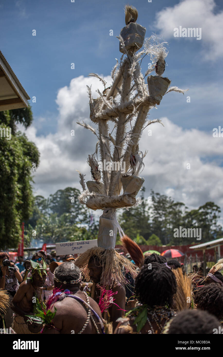 Orobe cantare cantare gruppo sfilando con un enorme quadro decorato con piume bianche, Mount Hagen spettacolo culturale, Papua Nuova Guinea Foto Stock