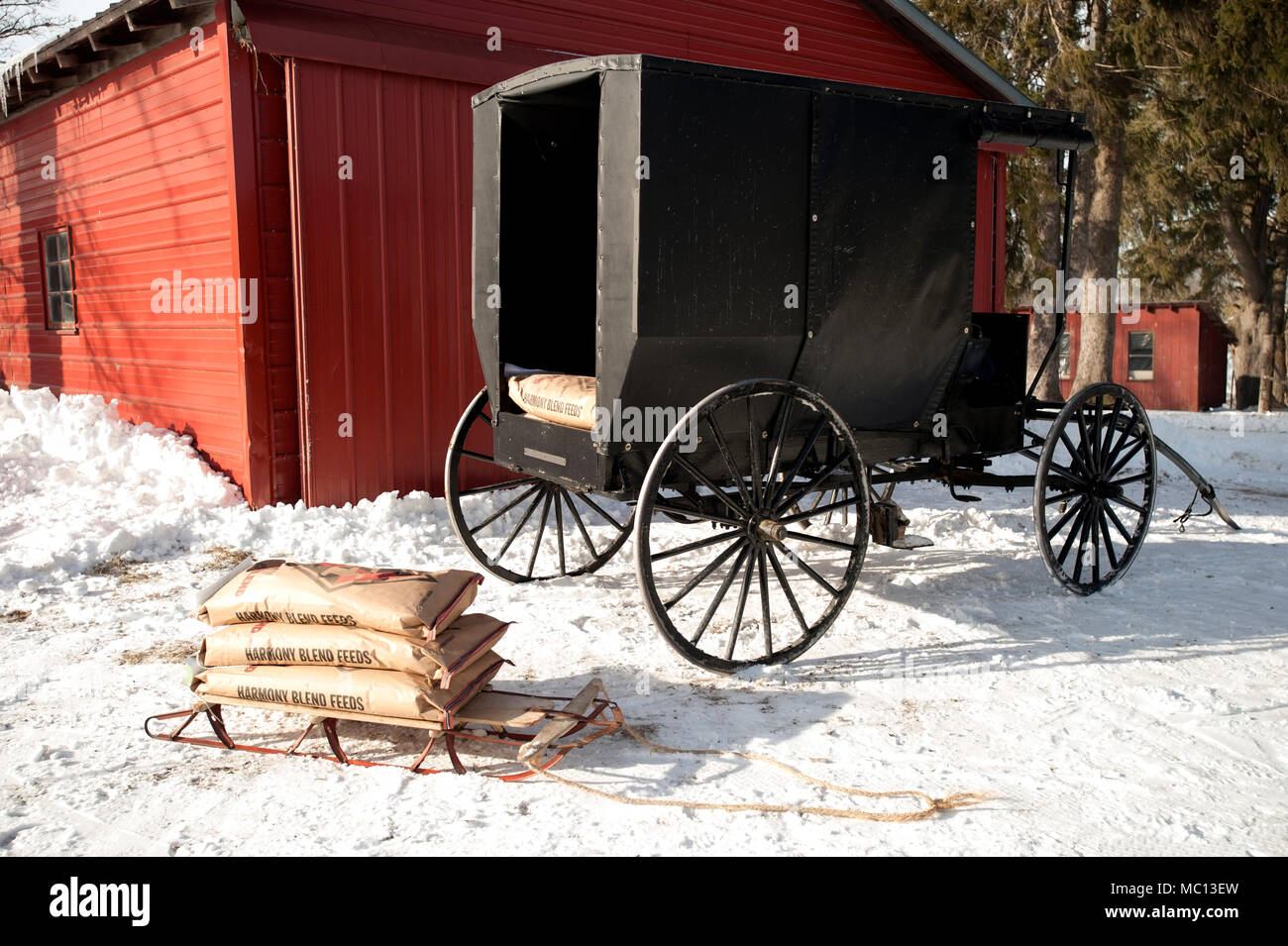 Nero buggy Amish si trova al di fuori di un granaio rosso con borse di alimentazione che giace nella neve su una giornata invernale, Minnesota, Stati Uniti d'America Foto Stock