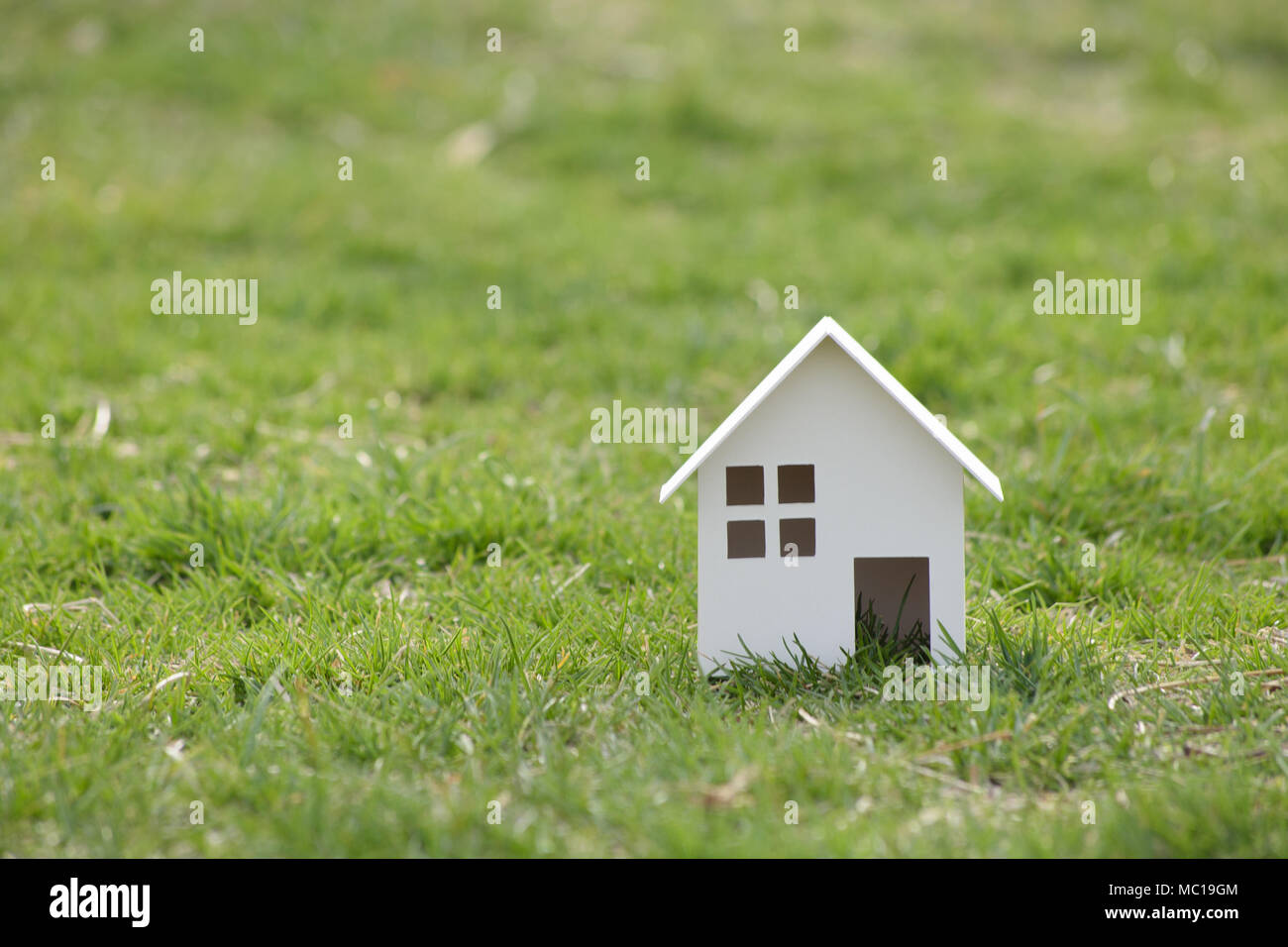 Carta tagliata della casa sulla natura dello sfondo con copia spazio. Foto Stock