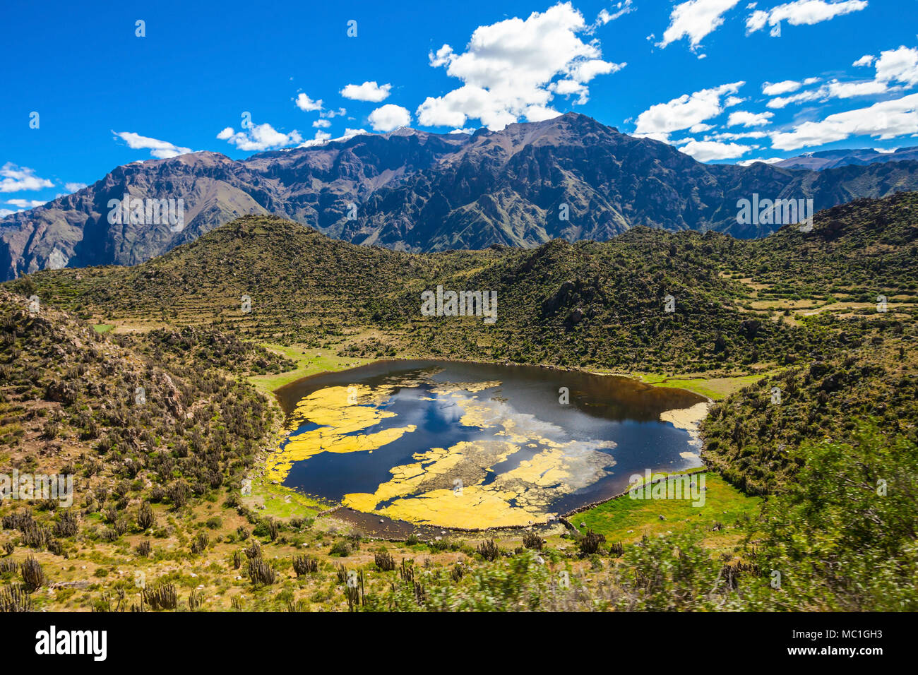 Il Colca Valley si trova a un centinaio di chilometri a nord-ovest di Arequipa, Perù Foto Stock