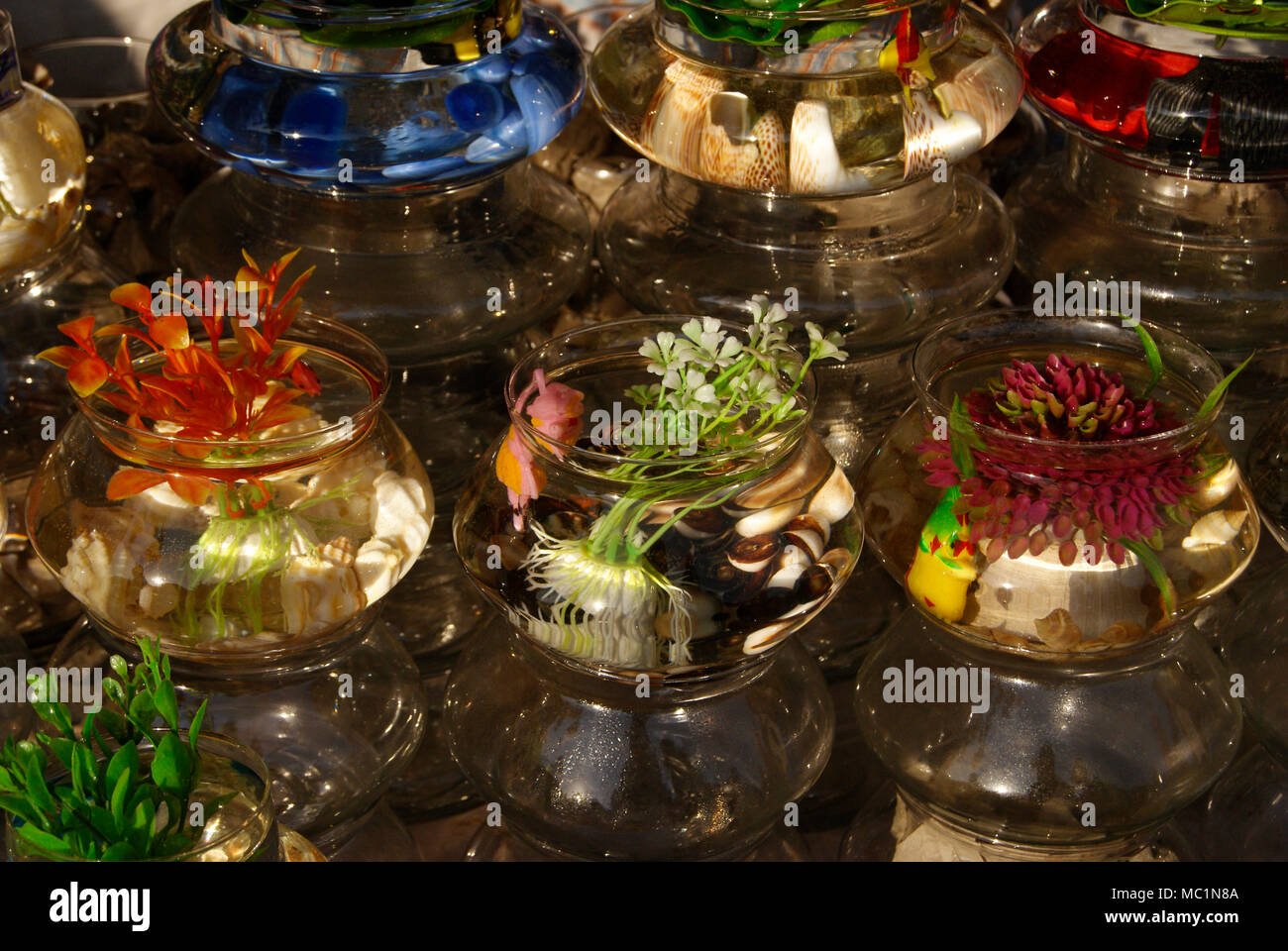 Irrigazione artificiale pentola floreale vasi per home scopo decorativo delle vendite in India Odisha Foto Stock