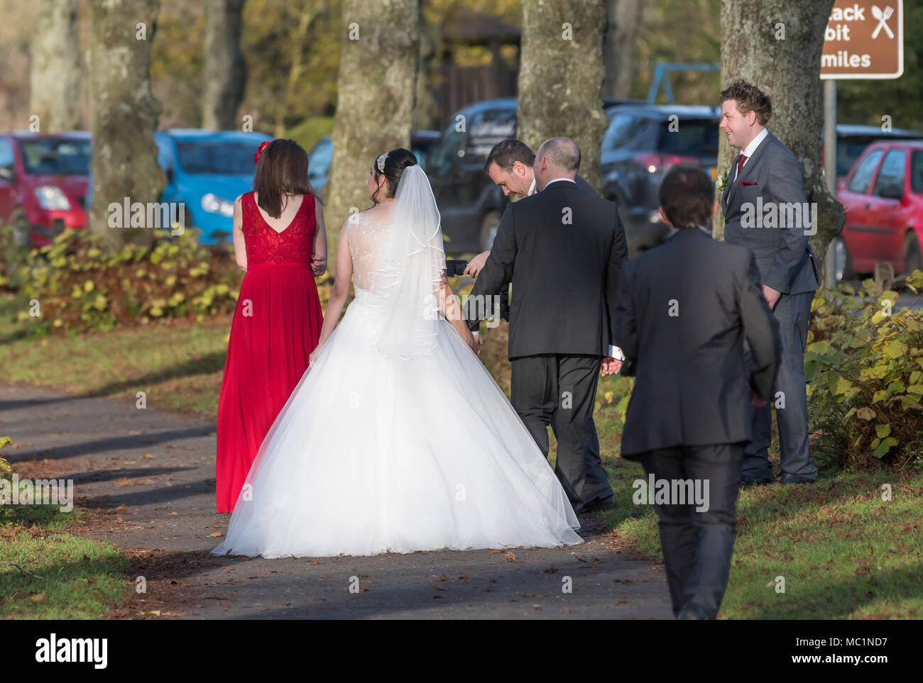 Sposa e lo sposo più un fotografo e altri a fare una passeggiata per avere le foto scattate nel Regno Unito. Giornata di sole in inverno. Foto Stock
