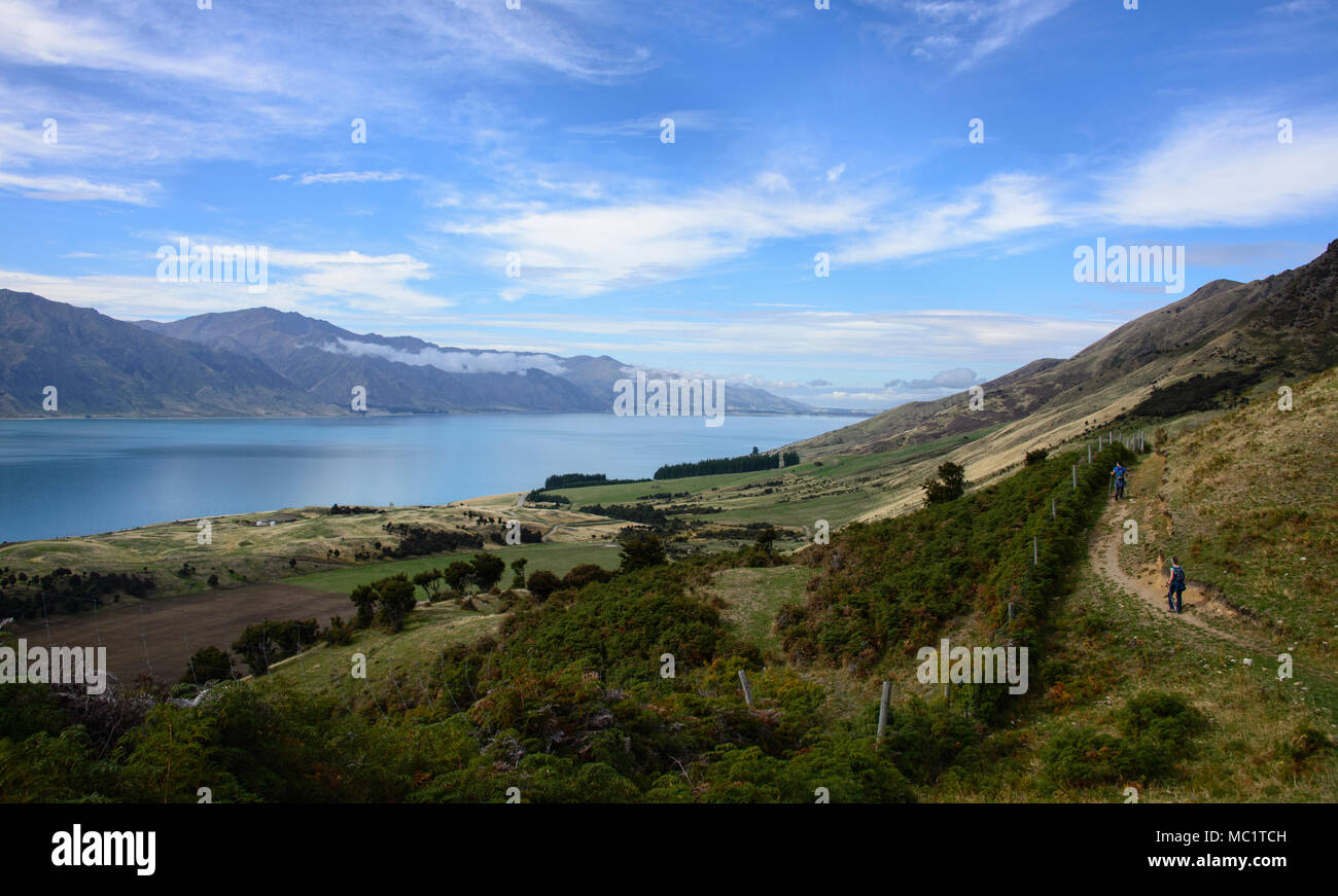 Trekking a picco istmo via vicino a Wanaka, Otago, Nuova Zelanda Foto Stock