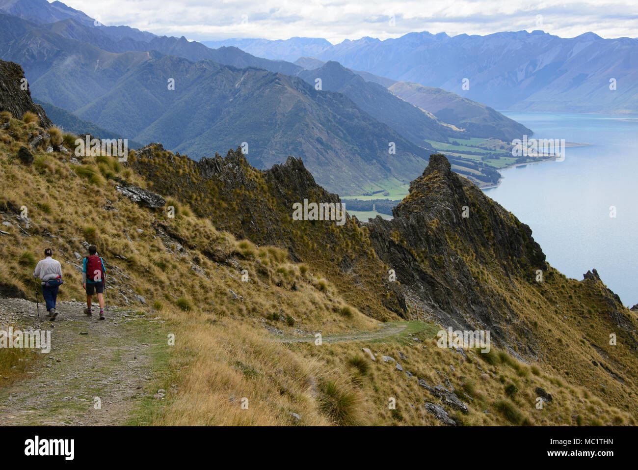 Trekking a picco istmo via vicino a Wanaka, Otago, Nuova Zelanda Foto Stock