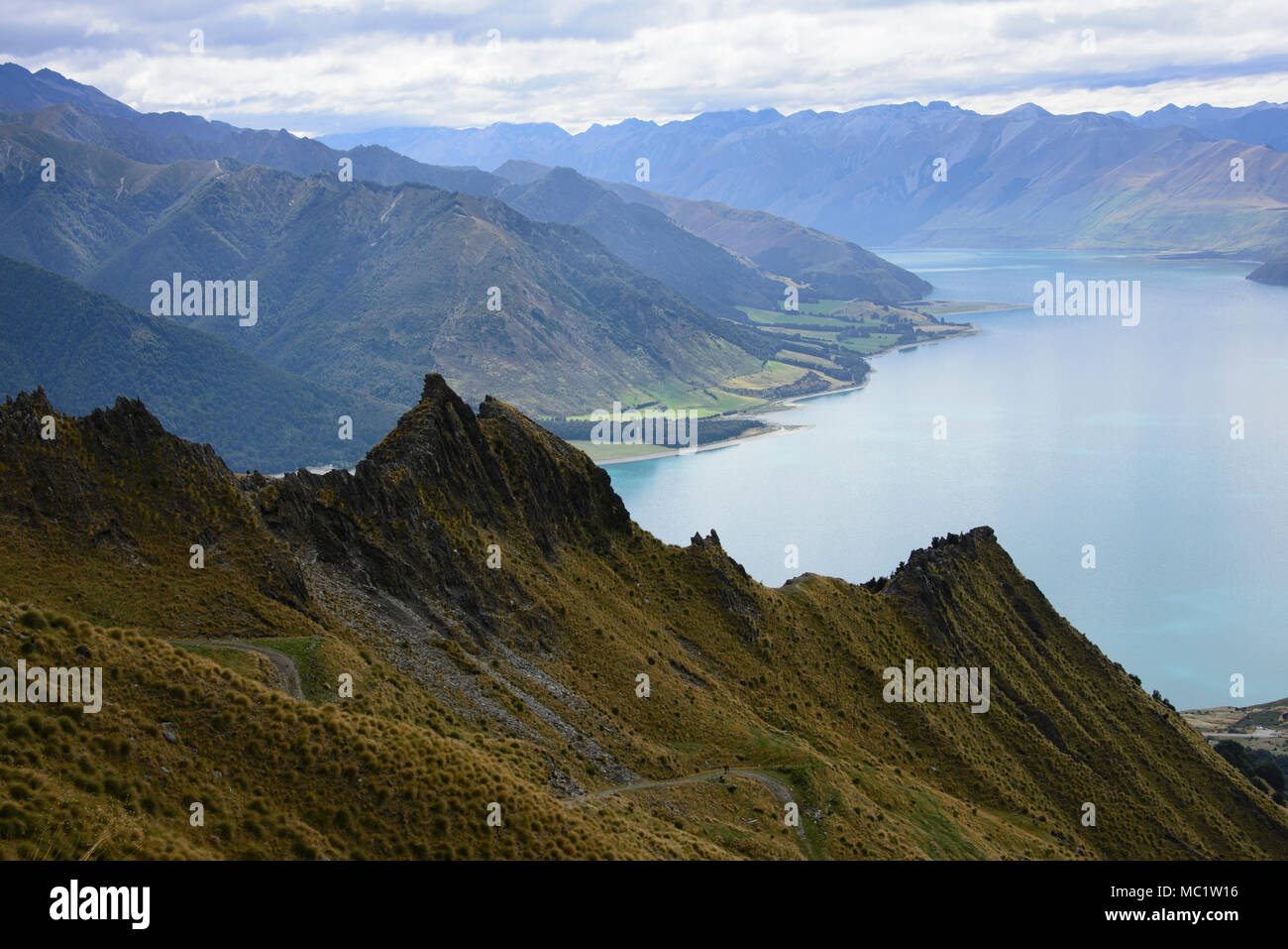Trekking a picco istmo via vicino a Wanaka, Otago, Nuova Zelanda Foto Stock
