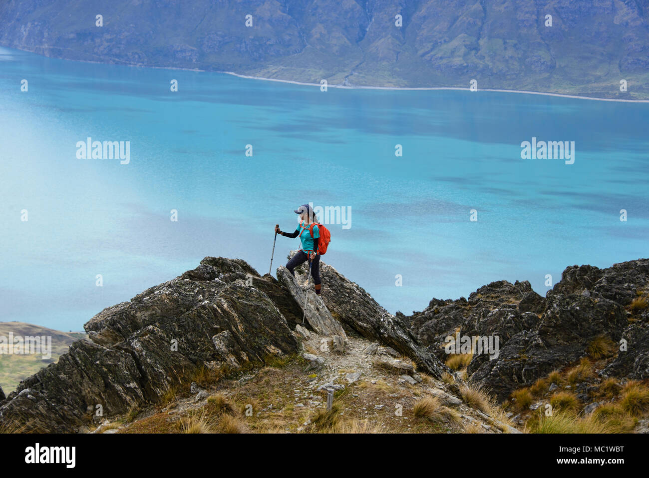 Trekking a picco istmo via vicino a Wanaka, Otago, Nuova Zelanda Foto Stock
