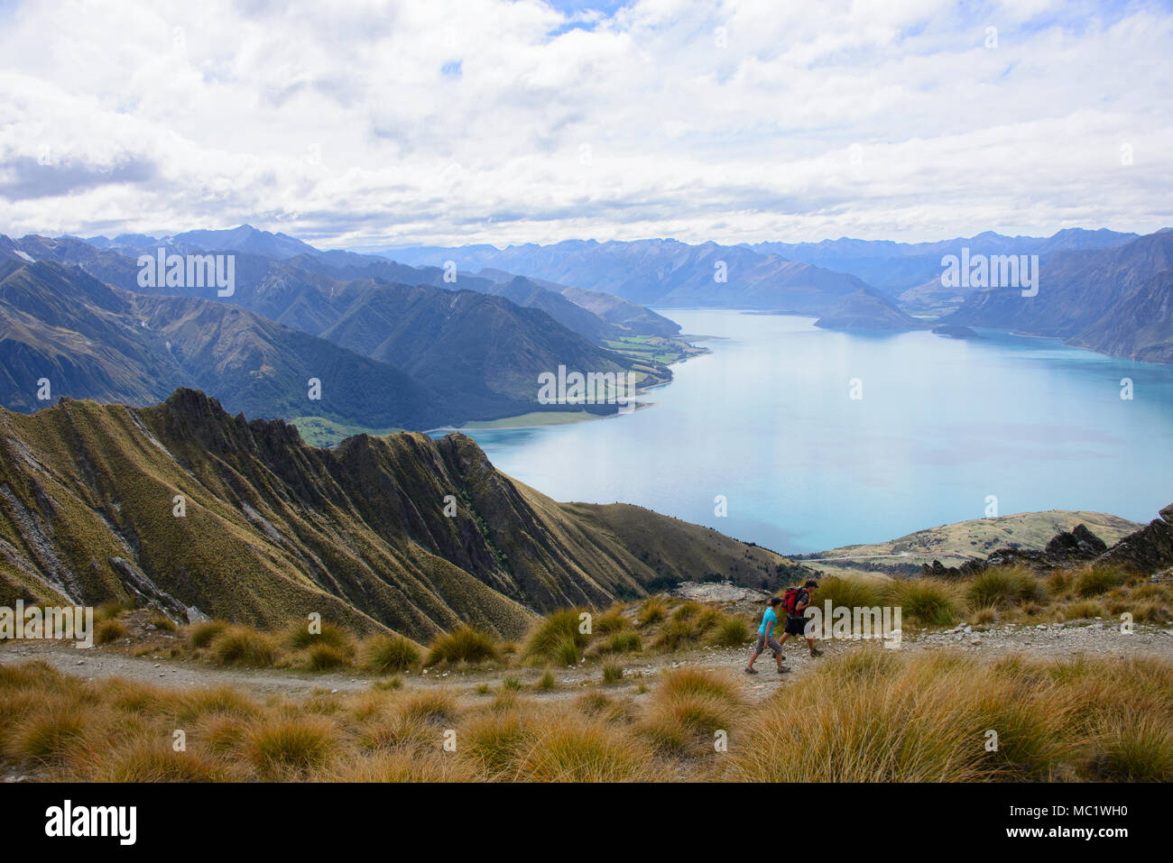 Trekking a picco istmo via vicino a Wanaka, Otago, Nuova Zelanda Foto Stock