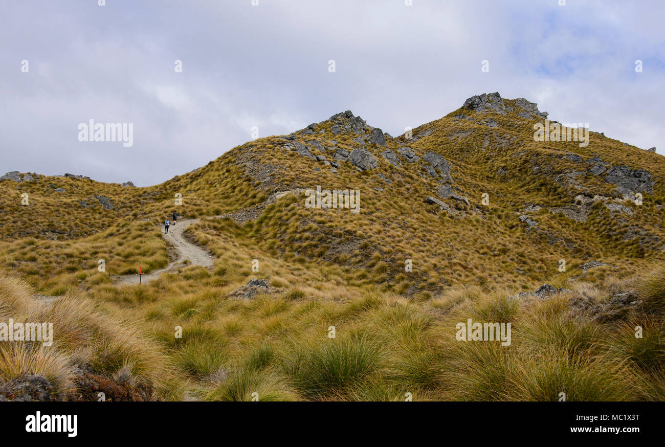 Trekking a picco istmo via vicino a Wanaka, Otago, Nuova Zelanda Foto Stock