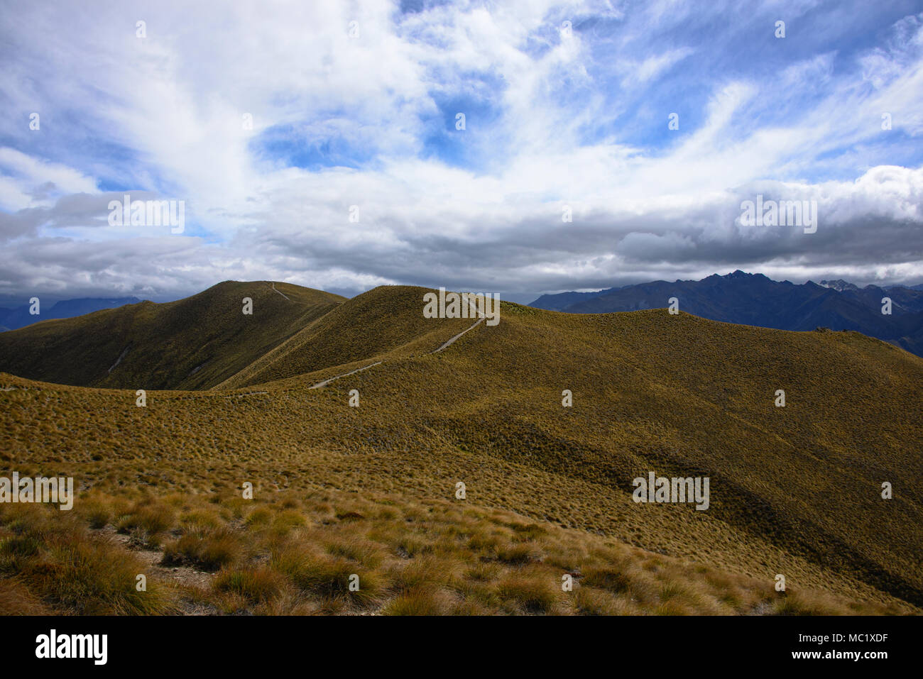 Trekking a picco istmo via vicino a Wanaka, Otago, Nuova Zelanda Foto Stock