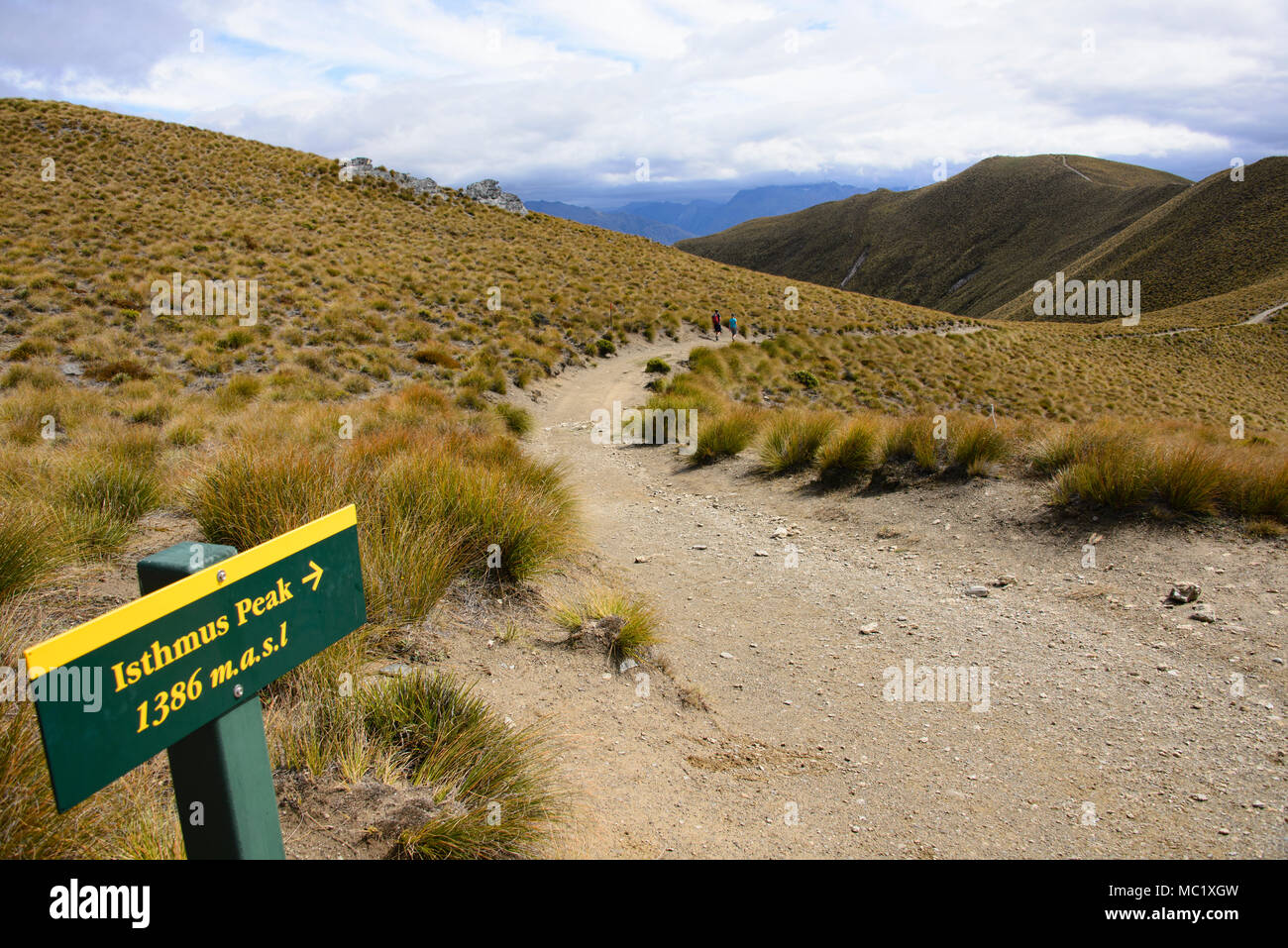 Trekking a picco istmo via vicino a Wanaka, Otago, Nuova Zelanda Foto Stock