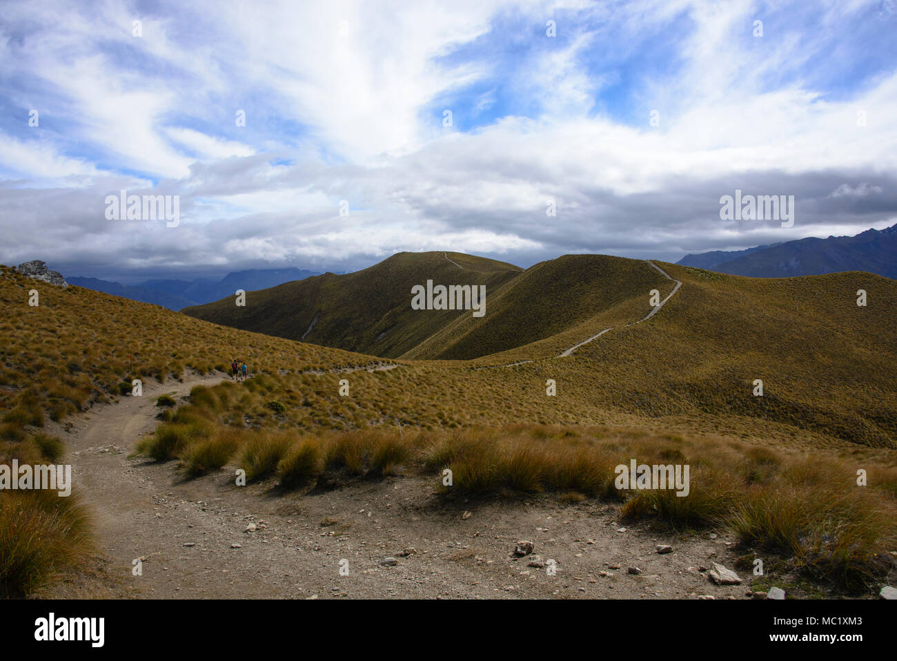 Trekking a picco istmo via vicino a Wanaka, Otago, Nuova Zelanda Foto Stock