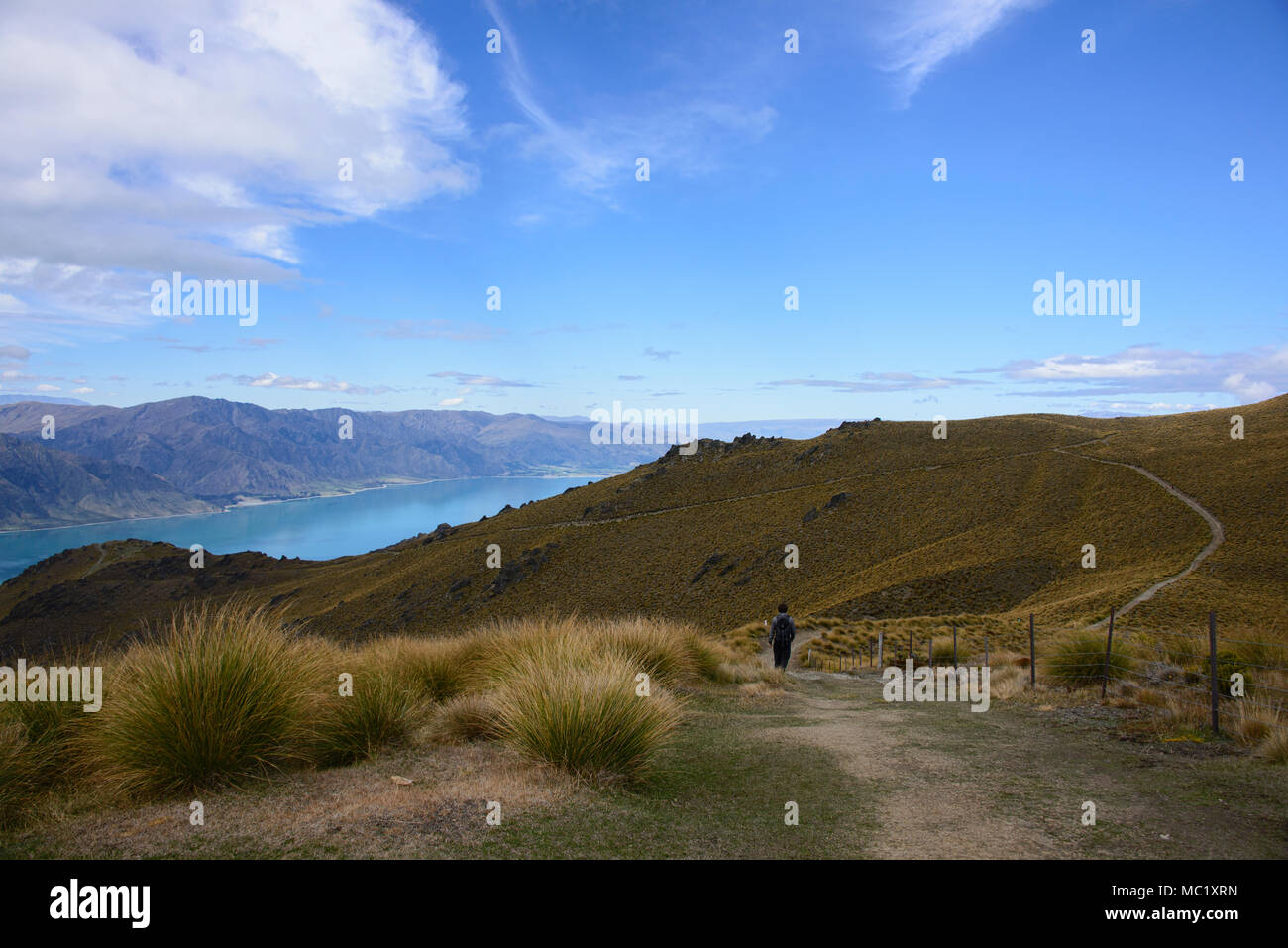 Trekking a picco istmo via vicino a Wanaka, Otago, Nuova Zelanda Foto Stock
