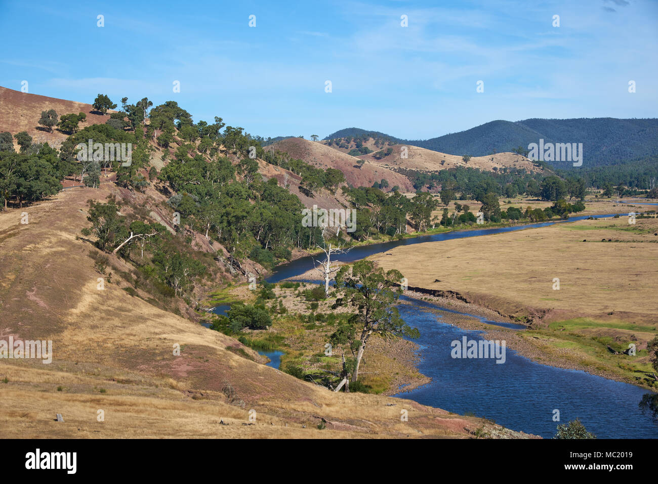 River Valley, Macalister River, Licola, Victoria, Australia Foto Stock