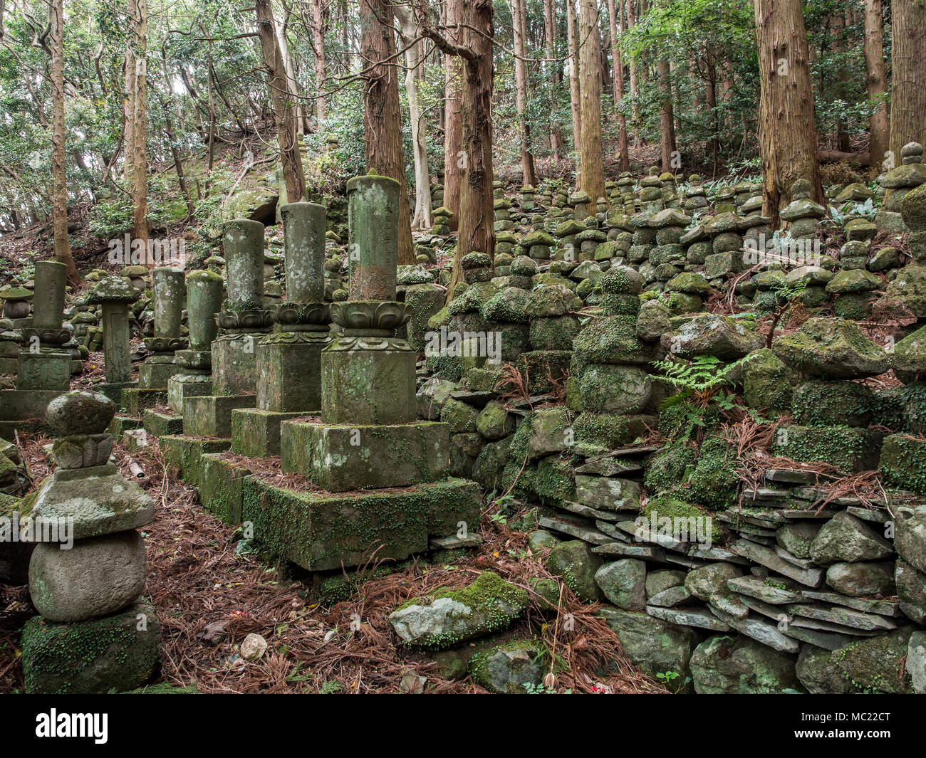 Le lapidi e le rovine del tempio Sentoji, Kunisaki, Oita, Kyushu, Giappone Foto Stock